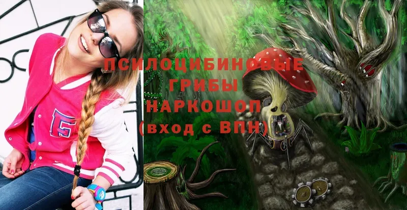 Псилоцибиновые грибы Magic Shrooms  Уссурийск 